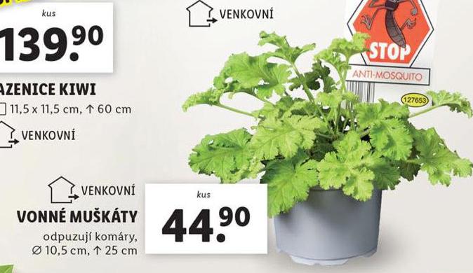 VONN MUKTY