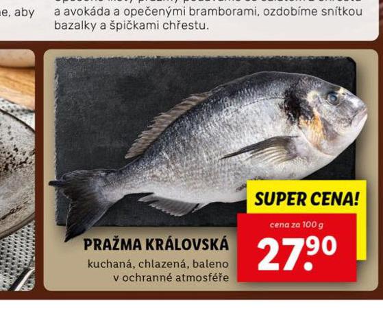 PRAMA KRLOVSK