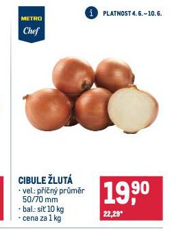 CIBULE LUT