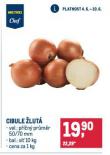 CIBULE LUT