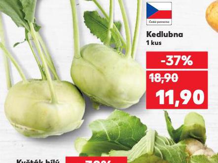 KEDLUBNA