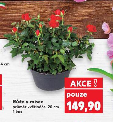 RَE V MISCE