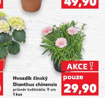 HVOZDK NSK