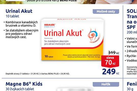 URINAL AKUT