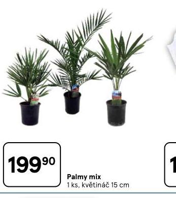 PALMY MIX