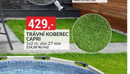 TRAVN KOBEREC