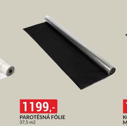 PAROTSN FLIE