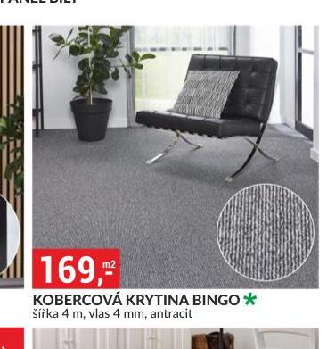 KOBERCOV KRYTINA BINGO