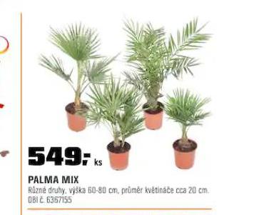 PALMA MIX