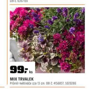 MIX TRVALEK