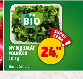 MY BIO SALT POLNEK