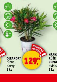OLEANDR