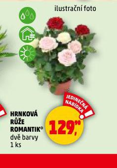 HRNKOV RَE ROMANTIK
