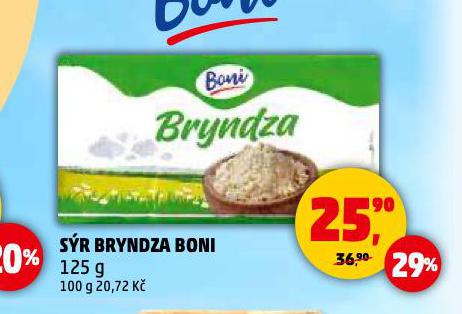 SR BRYNDZA