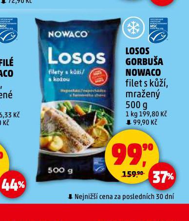 LOSOS GORBUA NOWACO