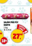 HARYK SALM PRO PSY