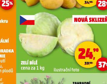 ZEL BL
