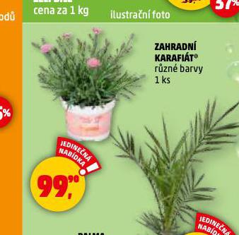 ZAHRADN KARFITY