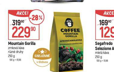 MOUNTAIN GORILLA ZRNKOV KVA