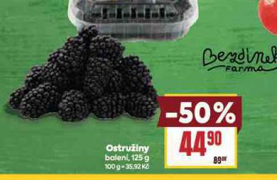 OSTRUINA