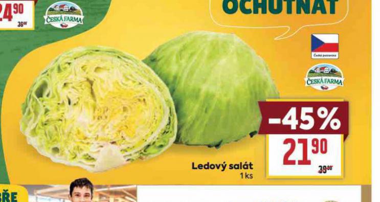 LEDOV SALT