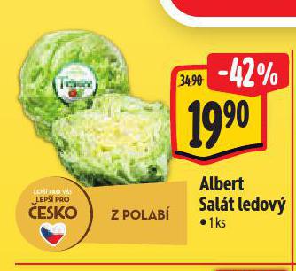 SALT LEDOV