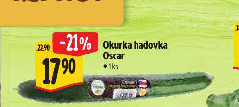 OKURKA HADOVKA