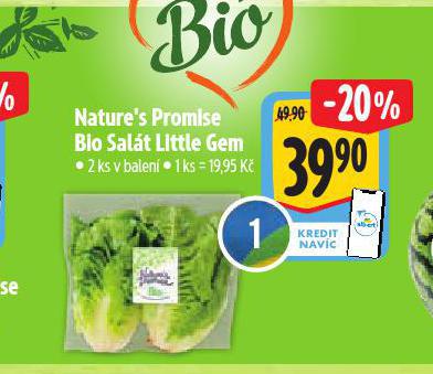 BIO SALT LITTLE GEM