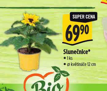 SLUNENICE