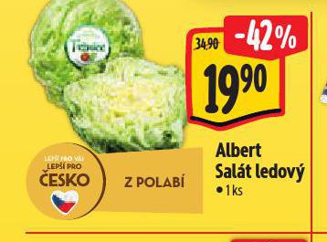 SALT LEDOV