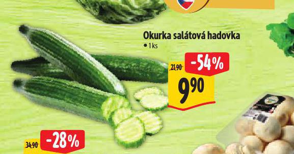 OKURKA SALTOV HADOVKA