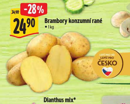 BRAMBORY KONZUMN RAN