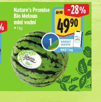 BIO MELOUN MINI VODN