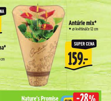 ANTHRIE MIX
