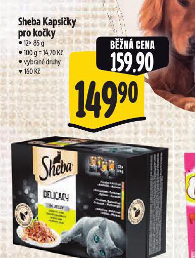 SHEBA KAPSIKY PRO KOKY