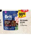 BRIT GRANULE PRO PSY