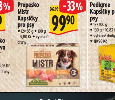 PROPESKO MISTR KAPSIKY PRO PSY