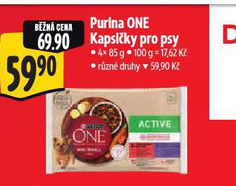 PURINA ONE KAPSIKY PRO PSY