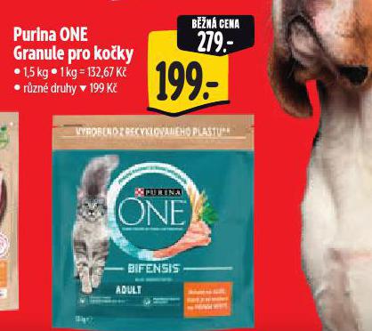 PURINA ONE GRANULE PRO KOKY