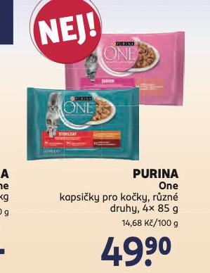 PURINA ONE KAPSIKY PRO KOKY