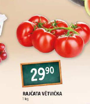 RAJATA VTVIKA