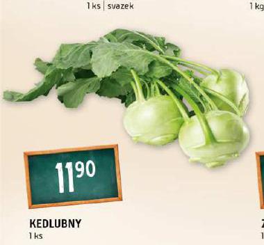 KEDLUBNY