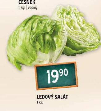 LEDOV SALT