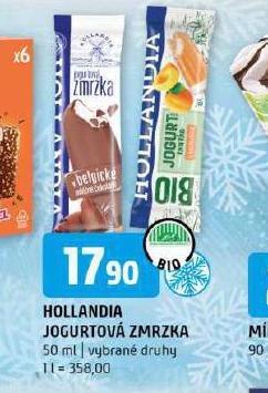 HOLLANDIA ZMRZKA