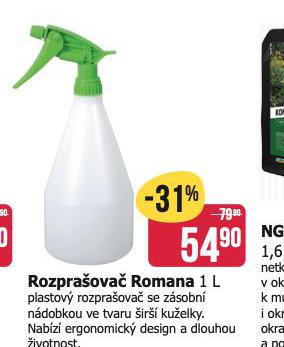 ROZPRAOVA ROMANA