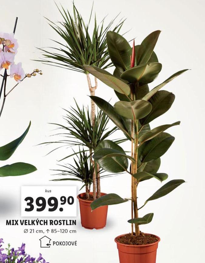 MIX VELKCH ROSTLIN