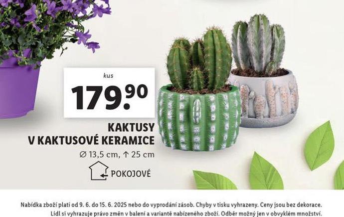 KAKTUSY V KAKTUSOV KERAMICE