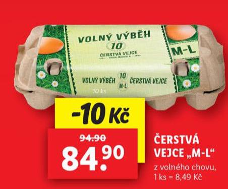 ERSTV VEJCE 