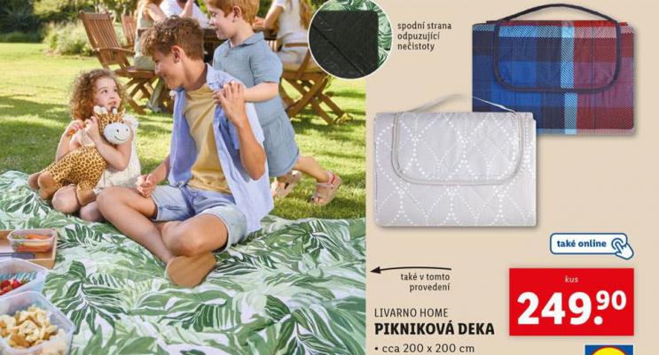 PIKNIKOV DEKA