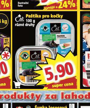 CAT PATIKA PRO KOKY